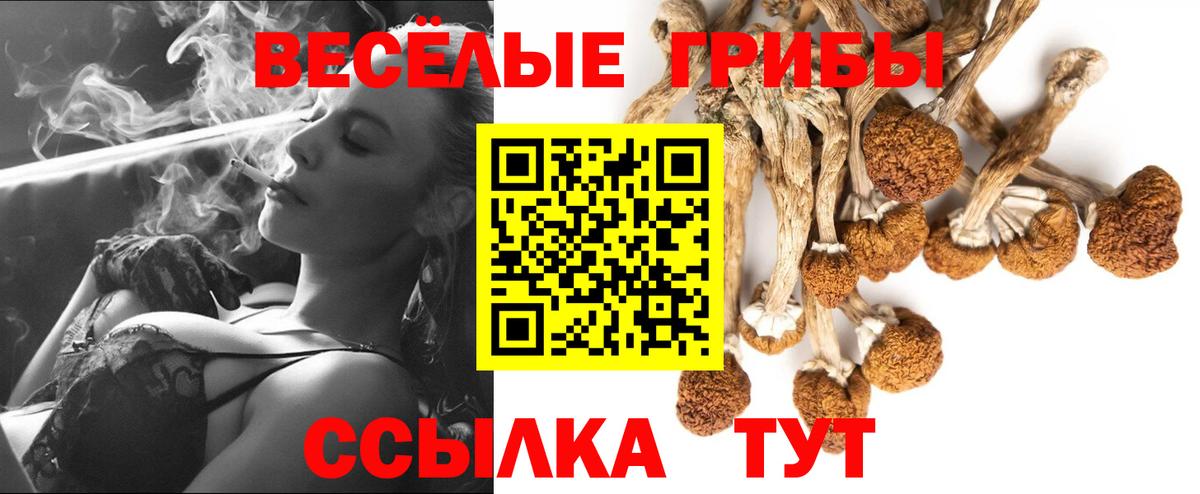 Галлюциногенные грибы Cubensis Унеча